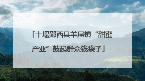 十堰郧西县羊尾镇“甜蜜产业”鼓起群众钱袋子